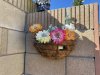 Flower basket with Dahua camera.jpg