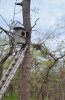 barred owl box.jpg