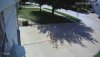 Front-Left.Tree.Shadows.jpg