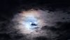moon.jpg