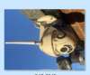 nvr camera 1.png