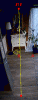 Line-detection.gif