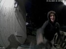 doorbell ringer.jpg
