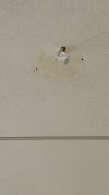 IMG_2065.jpeg