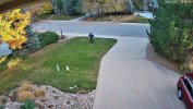 192.168.1.172_ch_1_20251027_080014.jpg