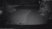 192.168.1.171_5442_ch_1_20251108_221711.jpg