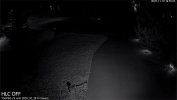 192.168.1.172_54PRO-HLC-OFF_ch_1_20251110_195523.jpg