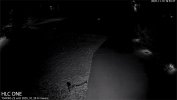192.168.1.172_54PRO_HLC-ONE_ch_1_20251110_195538.jpg