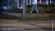 walking.jpg