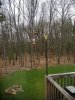 20180504_112435.jpg