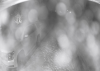 Screen Shot 2019-01-29 at 3.43.08 PM.png