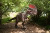 Dino-800x531.jpg
