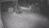 Backyard  - 2020-02-17 19.27.29.jpg
