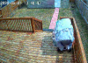 Faulty video.PNG