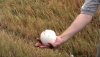 Hail052904[1].jpg