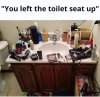 Toilet seat up.jpg
