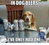 in-dog-beers-ive-only-had-one-7445681.png