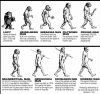 Human-Evolution-Chart.jpg