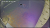Capture.PNG