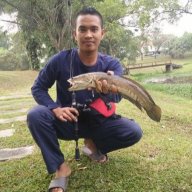 NURDIN 77