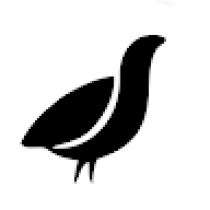 Perepel