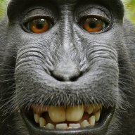thecheekymonkey