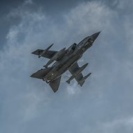 peskyfoxs