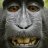 thecheekymonkey