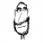 louisparks