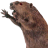 clarkstin