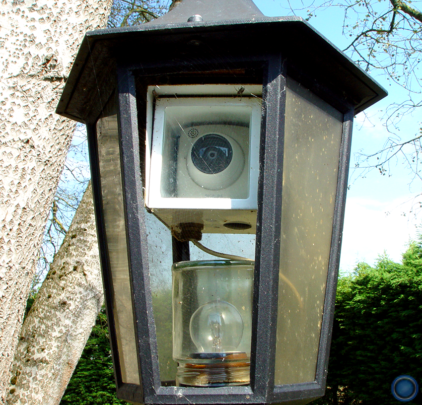 Backyard lantern cam close-up